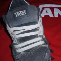 Vans destroyed